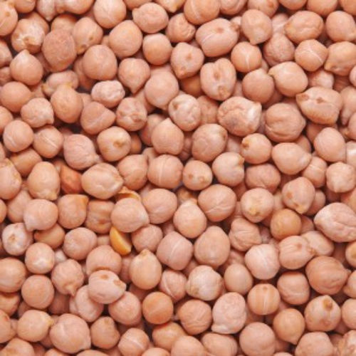 High Quality Unadulterated Chickpeas