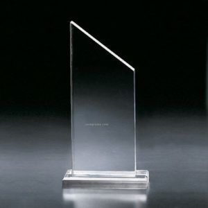 Light Weight Acrylic Trophy