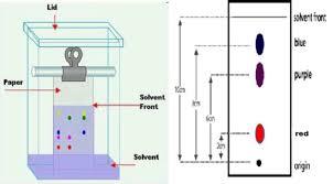 Paper Chromatography