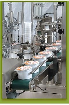 Ice Cream Packing Machine