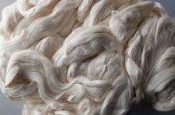 Natural Cellulose Fiber