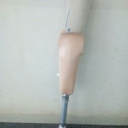 Best Quality Artificial Limb