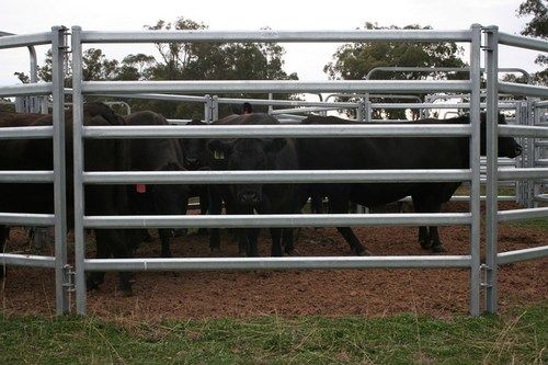 Robust Structure Livestock Fence Aperture: 40X40Mm