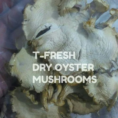 Dry Oyster Mushroom