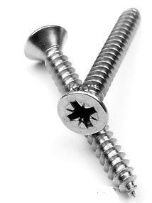 Galvanized Steel Csk Self Tapping Screw