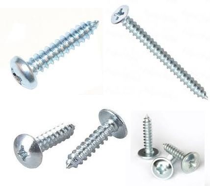 Galvanized Sts Screw