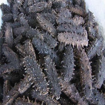 Dried Black Teat/Thorn/Spikes Prickly Sea Cucumber