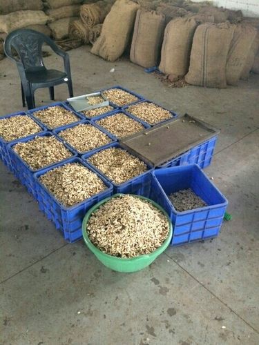 Export Quality W240 Cashew Nuts