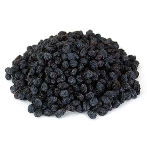 High Quality Dehydrated Black Currant