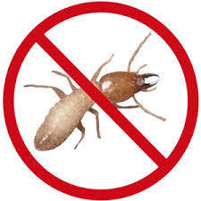 Termite Control Service By SKEETER FREE