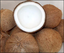Top Quality Dry Coconut