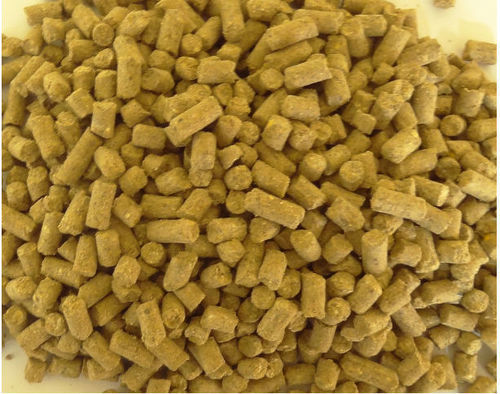 Best Quality Cattle Feed