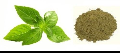 Premium Quality Tulsi Powder