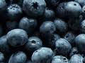 Best Quality Fresh Blueberry