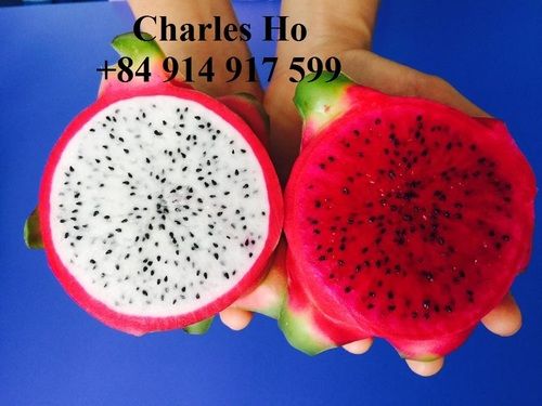 Red Fresh Dragon Fruit With High Quality