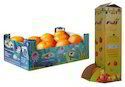 Corrugated Fruit Packaging Boxes