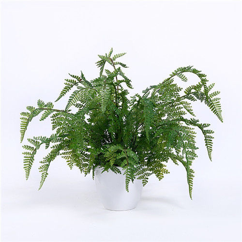 Artificial Fern Plants for Decoration