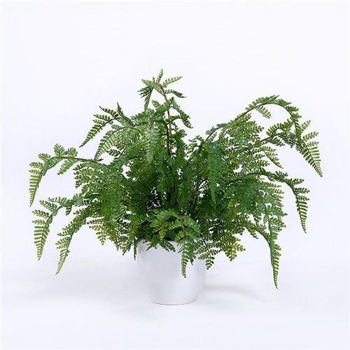 Silk Artificial Fern Plants For Decoration