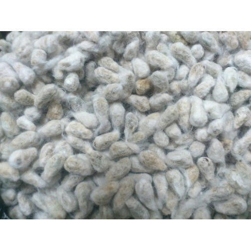 High Quality Cotton Seeds - High Yielding Hybrid Variety | Uniform Size, Non-Toxic