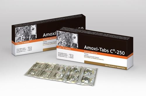 Amoxi-Tabs C250