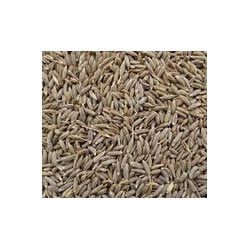 High Grade Cumin Seed