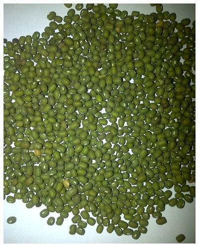 Top Rated Green Mung Bean