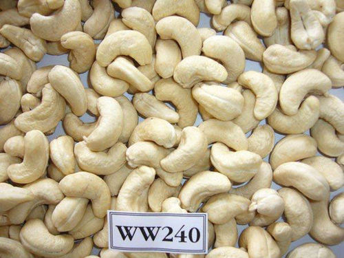 Dried Cashew Kernels Ww240