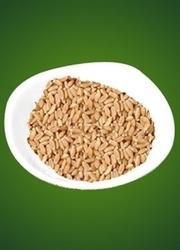 High Quality Wheat Grain (Mewar)