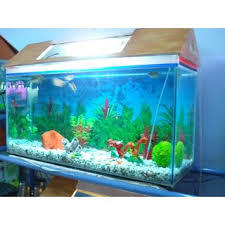 Fine Quality Aquarium Tank