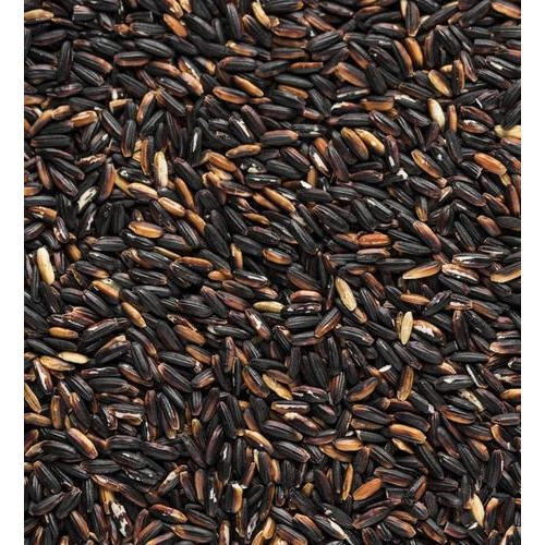 Low Price Black Rice