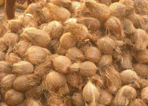 Light Brown High Grade Husked Cococnut