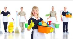 Hotel Housekeeping Services Provider By Care Facility Management Services Pvt. Ltd.
