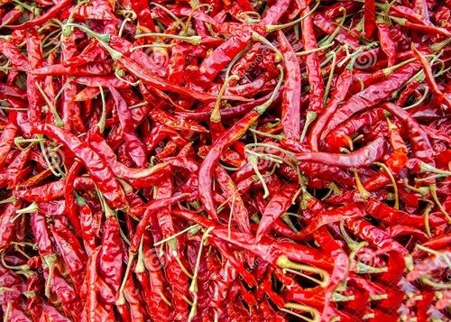 Pure and Natural Red Chilli