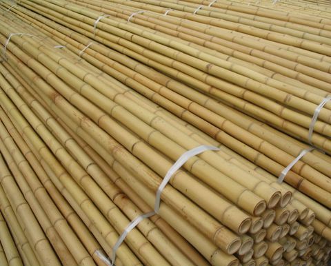 Bamboo Poles To Fence