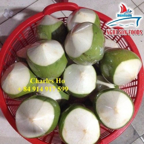 Common Big Size Fresh Young Green Coconut