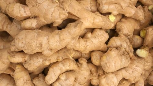 High Grade Fresh Ginger