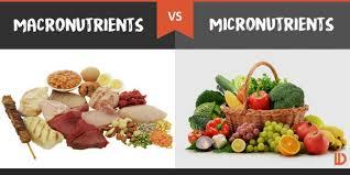 Micronutrient Mixture