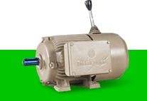 Highly Durable Brake Motors