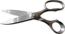 Easy Use Cutting Scissors