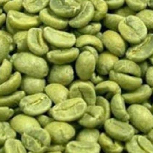Fresh Green Coffee Beans
