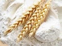 White Wheat Flour Maida