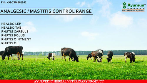 Ayurvedic Veterinary Analgesic/Mastitis Control Medicine