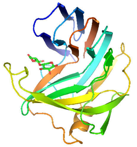 High Grade Xylalanse Enzyme