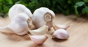 Low Price Fresh Garlic