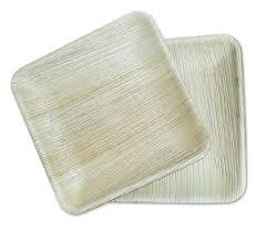 Square Areca Leaf Plates