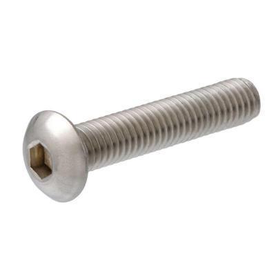 SS Button Hex Head Screw