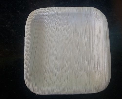 Square Areca Leaf Plate