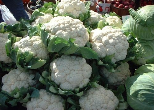 Fresh Baby Green Cauliflower