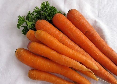 Purple High Grade Fresh Carrot