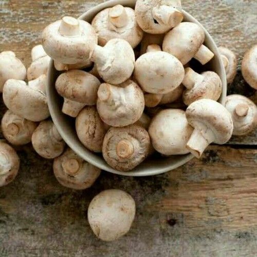 Fresh Organic Button Mushroom 